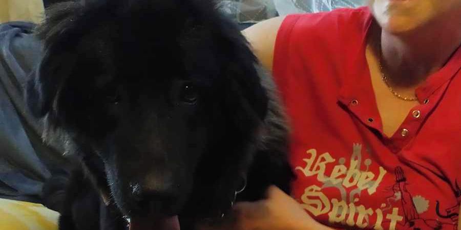 Úvodní fotka
